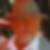 Profilbild von Jürgen Döpkemeyer