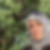 Profilbild von Ayten Gulesci