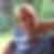 Profilbild von Peter Becker