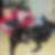 Profilbild von Thomas Oepping