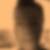 Profilbild von Antje Voss