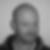 Profilbild von Michael Lauer