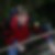 Profilbild von Sascha Welke