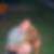 Profilbild von Thorsten Meyer