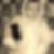 Profilbild von Frank Hermanns