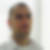 Profilbild von Michael Roeder