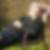 Profilbild von Holger Graf