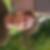 Profilbild von Frerk Grossheim