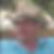 Profilbild von Walter Rupp