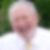Profilbild von Peter Betz