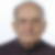 Profilbild von Gerhard Sauter