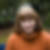 Profilbild von Dagmar Entz