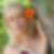 Profilbild von Jana Agnew