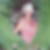 Profilbild von Katja Kerndt