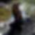 Profilbild von Maria Garcia