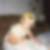 Profilbild von Stephanie Loebard