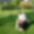 Profilbild von Rainer Hatecke