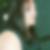 Profilbild von Sabine Rother