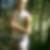 Profilbild von Thorsten Land