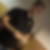 Profilbild von Dennis Burstyn