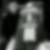 Profilbild von Franz Peter Wirtz