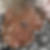 Profilbild von Ruth Verschaeren