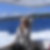 Profilbild von Dorina Fiedler