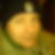 Profilbild von Andre Loppe
