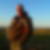 Profilbild von Torsten Hinrichs