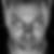 Profilbild von Joachim Wienand