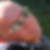 Profilbild von Michael Wahls