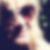 Profilbild von Steffi Mersch