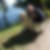 Profilbild von Ingo B. Weist