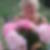 Profilbild von Carla Vooren