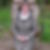 Profilbild von Helma Hambach