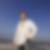 Profilbild von Tobias Rapp