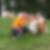 Profilbild von Andre Haupt