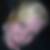 Profilbild von Denise Niewerth