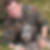 Profilbild von Norbert Schwiertz