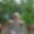 Profilbild von Kerstin Knorr