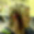 Profilbild von Jacqueline Burger