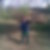 Profilbild von Peter Schipke 