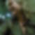 Profilbild von Juliane Brandt