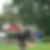 Profilbild von Markus Tress