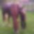 Profilbild von Maren Fuchslocher