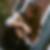 Profilbild von Jutta Reuth