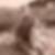 Profilbild von Guido Feit