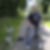 Profilbild von Joachim Henze