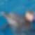 Profilbild von Yvonne Heynert