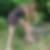 Profilbild von Dagmar Miler